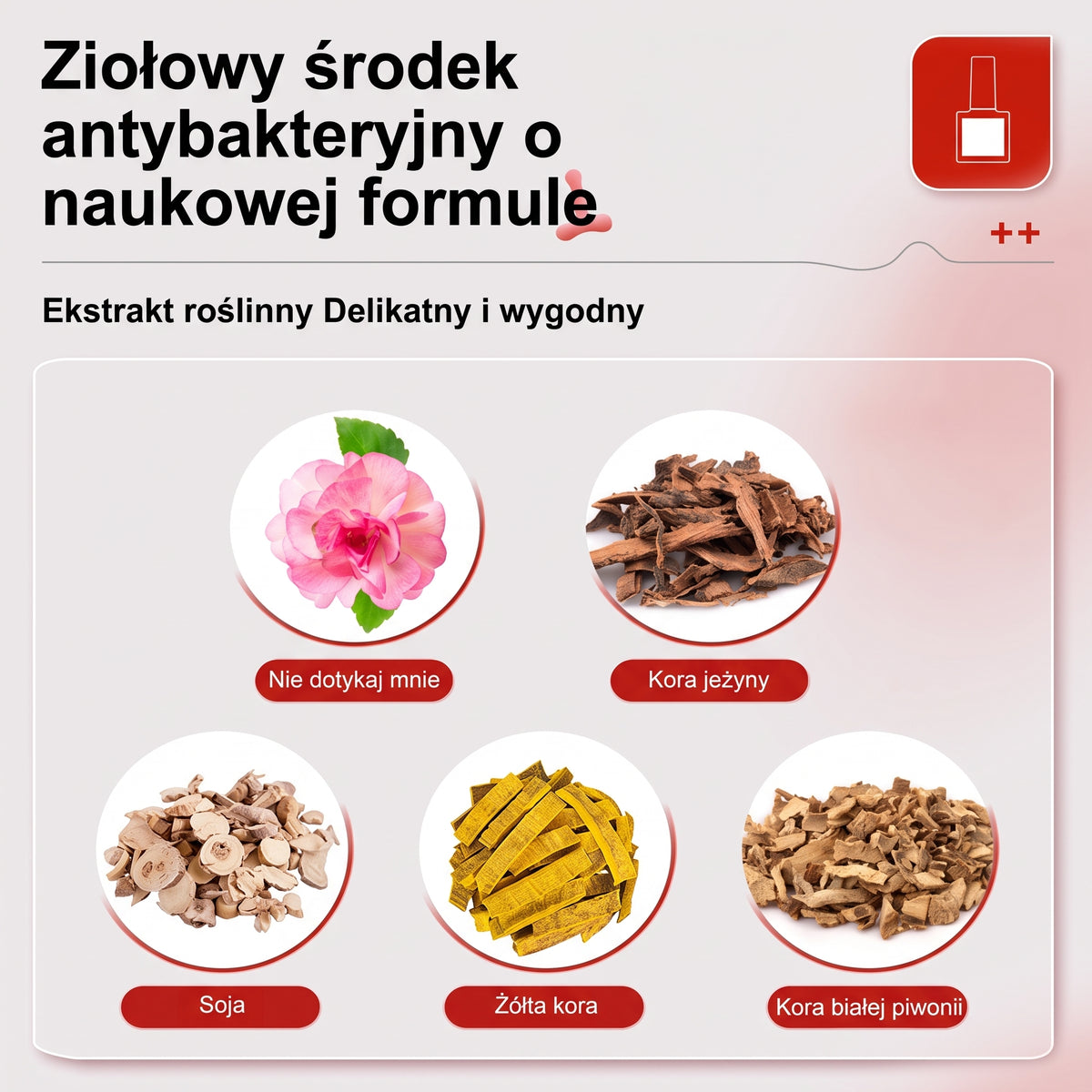 Ziołowe Serum do Regeneracji Paznokci – Skuteczny Preparat na Grzybicę i Odbudowę Płytki (Z Kwasem Hialuronowym)